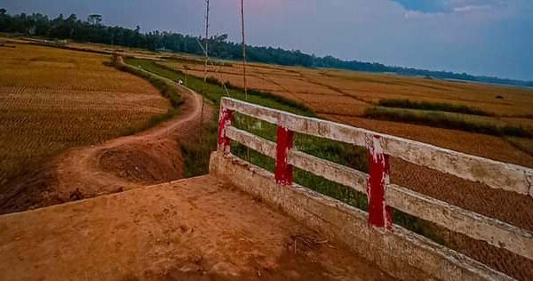 আলোয়া বিলে রাস্তা পাকা হবে কবে