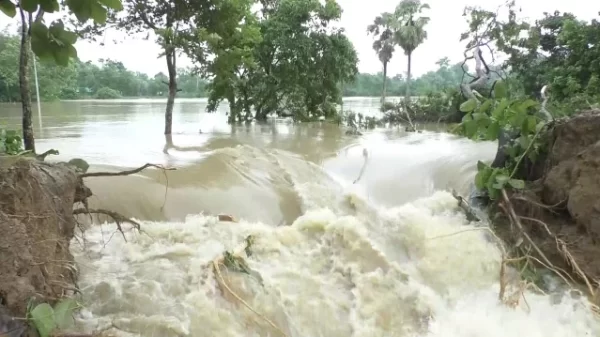 ফুলগাজী ও পরশুরামে এইচএসসি পরীক্ষা স্থগিত