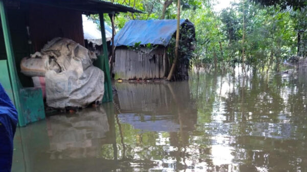 নোয়াখালীতে রোদের দেখা